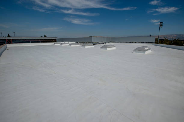 Best Cold Roofs  in Clintondale, NY