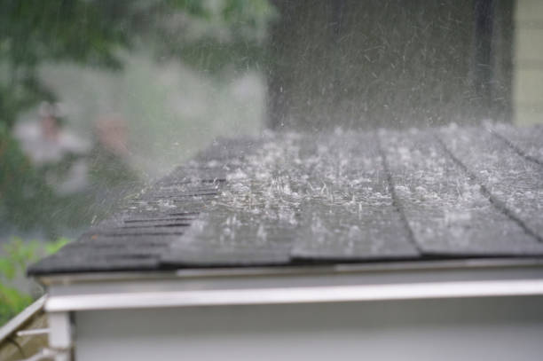 Best Storm Damage Roof Repair  in Clintondale, NY