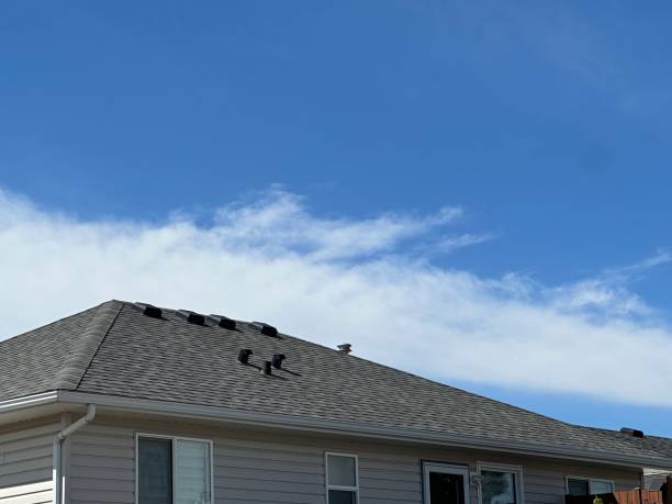 Best Roof Waterproofing  in Clintondale, NY